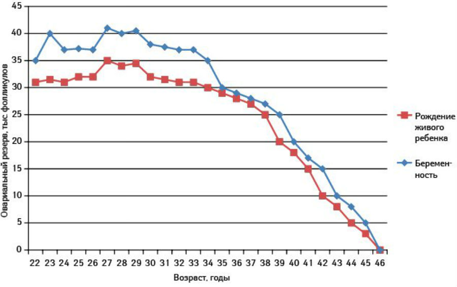 Фото: Когда делают ЭКО при климаксе?